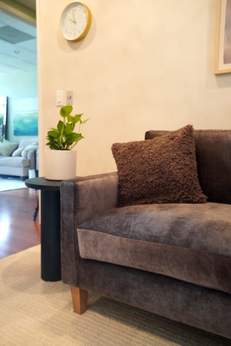 Couch arm in muted velvet beside a small potted plant; a brass-rimmed wall clock above.